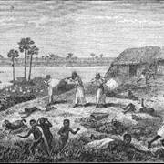 Picture Of Richard Mohun Village Attacked